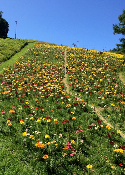 アウトドアを満喫 オーンズ春香山ゆり園に行ってきました アクセサリーpepe ぺぺ ブログ